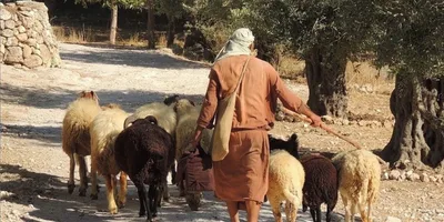 O dever pastoral