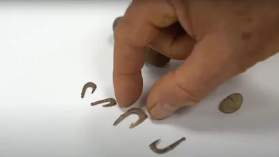 Achados arqueológicos dão vislumbres sobre o mundo dos pescadores nos tempos bíblicos
