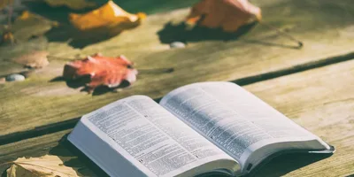 Não temas: Deus não te deixará sozinho