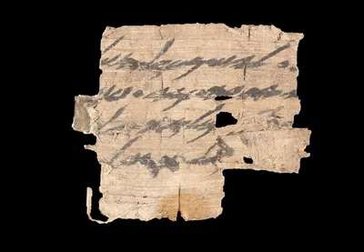 Família americana doa papiro rado de 2700 anos para Israel