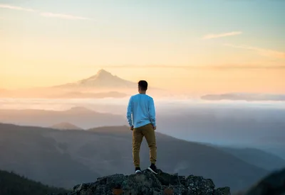 Livro explora a grande busca pelo sentido da vida