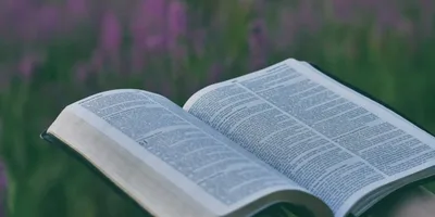 Viva a esperança: O que esperamos em Cristo?