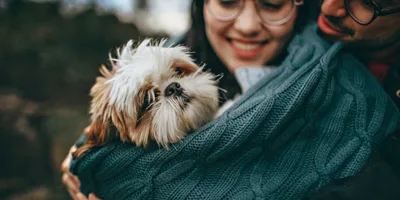 Qual é a relação sadia do cristão com os animais?