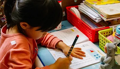 Relatório aponta aumento do ensino doméstico nos EUA