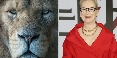 Cristãos questionam escolha de Meryl Streep para dar voz a Aslan em novo filme de “Nárnia”