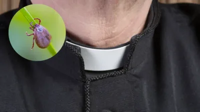 Padre corta o próprio pênis após ver carrapato