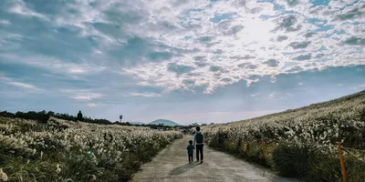 Caminhada com o Pai: Um convite para uma caminhada transformadora