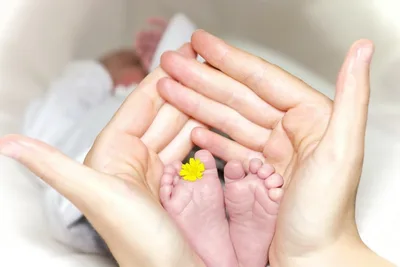 Médica rebate narrativa abortista: não é tratamento de saúde