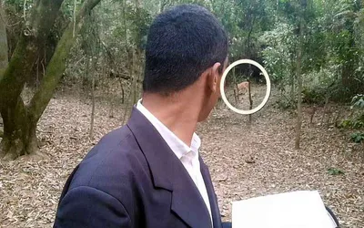 Livramento: Onça passa ao lado de pastor enquanto ele faz live na mata