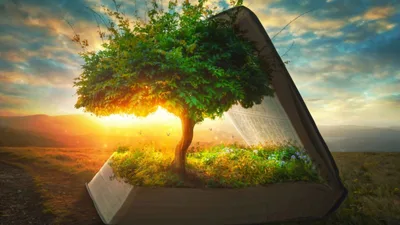 Significado espiritual das árvores na Bíblia