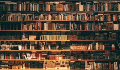Câmara de Rio Branco aprova lei que permite Bíblias em bibliotecas escolares