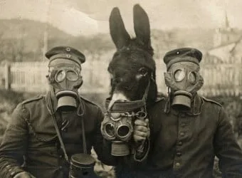 Primeira Guerra Mundial: relembrando o horror