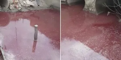 Riacho em Israel fica vermelho ‘cor de sangue’ e remete à praga bíblica