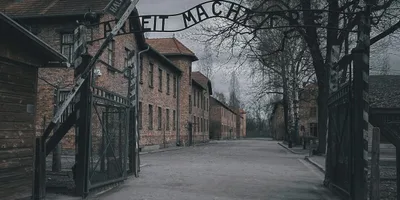 Dia do Holocausto: Data lembra 6 milhões de judeus vítimas do nazismo