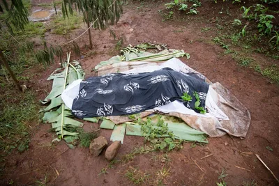 Soldados matam tradutor da Bíblia e novos exemplares sofrem barreiras, na África