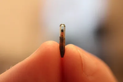 O microchip é a marca da besta? Como estudiosos relacionam tecnologias e profecias