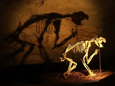 Os dinossauros foram extintos há milhões de anos ou desapareceram no dilúvio?