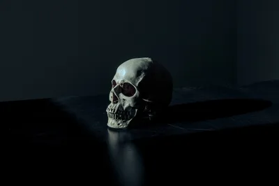 Novo relatório revela mudança de atitudes das pessoas em relação à morte