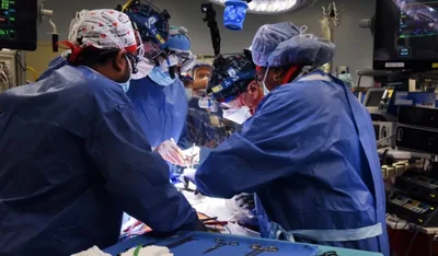 Homem recebe coração de porco geneticamente modificado em cirurgia