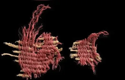 Arqueólogos encontram tecido de 3.800 anos tingido de "escarlate bíblico"