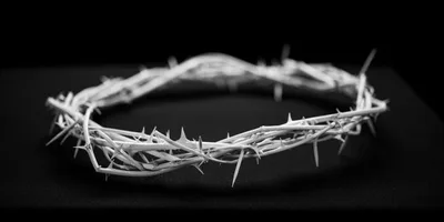 O Arminianismo e o Solus Christus