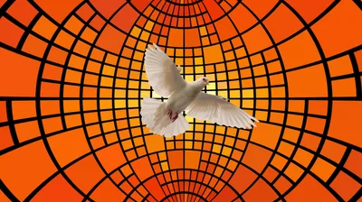 Avivamento: o legado de homens que marcaram eras e a Igreja atual