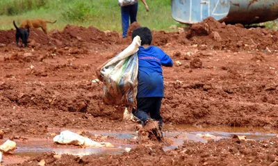 Campanha solidária atenderá 5.500 famílias brasileiras necessitadas