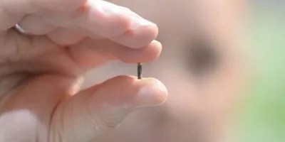 A única forma de se proteger da marca da besta é carregar a marca de Deus, diz pastor