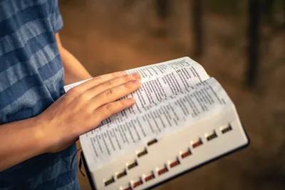 Arminianismo e o Livre-Arbítrio Libertário