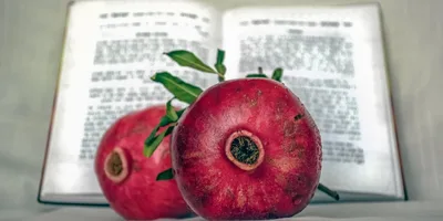 Com simbolismos proféticos, Rosh Hashaná celebra dia em que Deus criou Adão e Eva