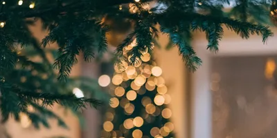 Pode o cristão celebrar o Natal?