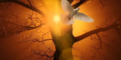 Teologia Pentecostal e o sofrimento humano