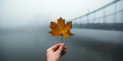 A vida é feita de ciclos