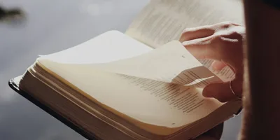 Defendendo princípios cristãos com amor e sabedoria em tempos de polarização