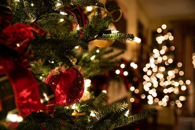 Cristão pode ter Árvore de Natal?
