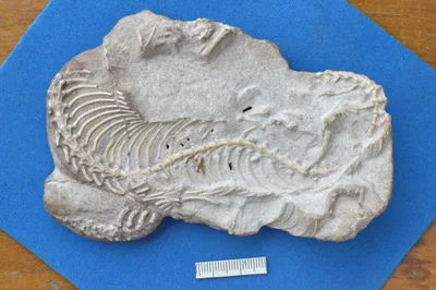 Gênesis: descoberta arqueológica pode comprovar o Jardim do Éden