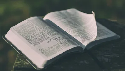 Como entender o livro de Salmos