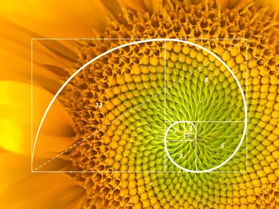 Assinatura de Deus: Você já ouviu falar que Deus usou um código para criar o mundo?