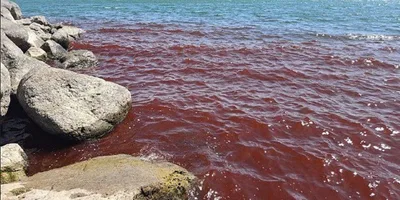 Cenário de milagres de Jesus, Mar da Galileia amanheceu tingido de vermelho