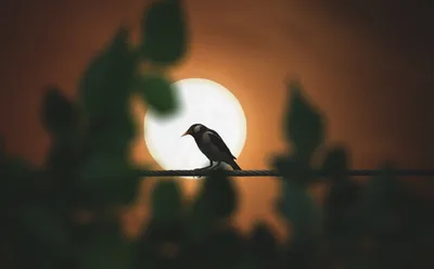 Um poderoso livramento