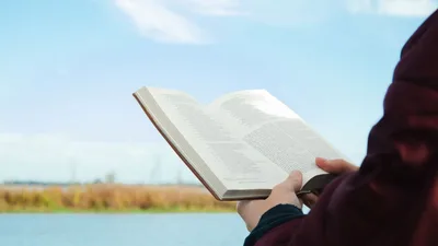 A bondade e a misericórdia do Senhor te acompanharão todos os dias da sua vida