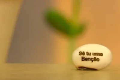 Cuidado com a semente da falsa religião