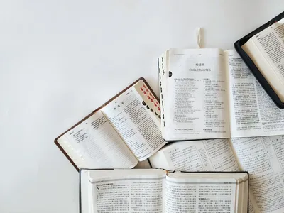 Dia da Bíblia: a origem da data e como as Escrituras influenciam o mundo