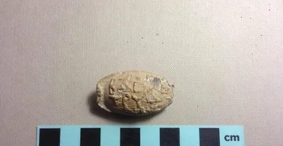 Pedra de estilingue asmoneu foi descoberta por arqueólogos em Israel