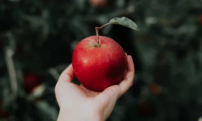 Pastor elenca 3 lições para o cristão superar a tentação e vencer o pecado