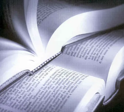 Livros Cristãos Evangélicos | Notícias Gospel