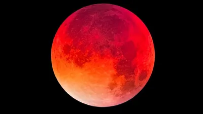 Lua de Sangue surge em meio a eleições nos Estados Unidos
