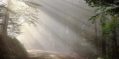 A Terra é dos Mansos