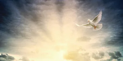 A importância do poder do Espírito Santo em nossos dias