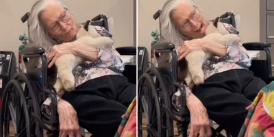 Idosa de 90 anos diagnosticada com demência lembra da Bíblia: \"Jesus é o Filho de Deus\"